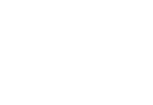PSI | Puertas y Servicios Industriales