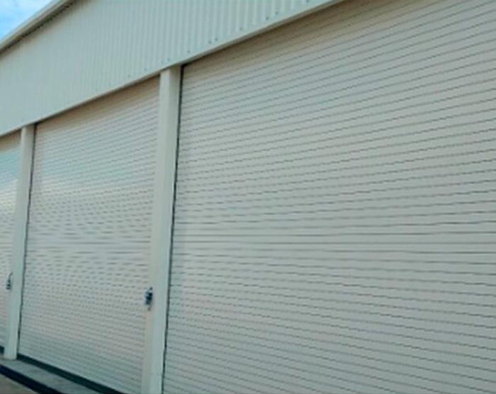 AccessPRO FS1000SPEED