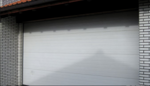 AccessPRO FS1000SPEED