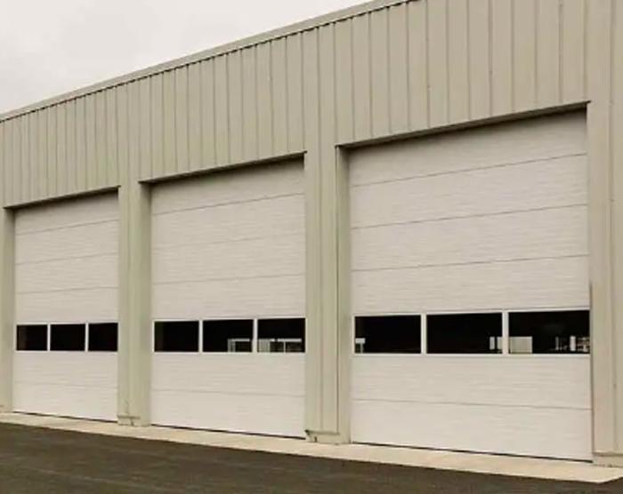 AccessPRO FS1000SPEED