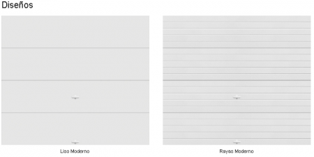 AccessPRO FS1000SPEED