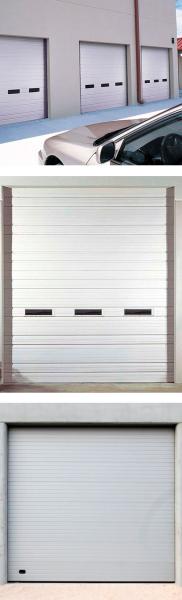 AccessPRO FS1000SPEED